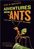 adventures-among-ants
