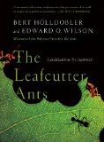 The-Leafcutter-Ants