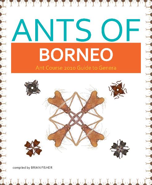 Ants-of-Borneo